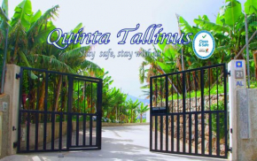 Quinta Tallinus